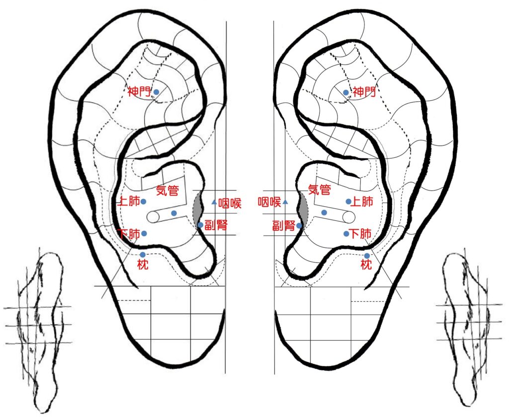 咳止め・痰をとる