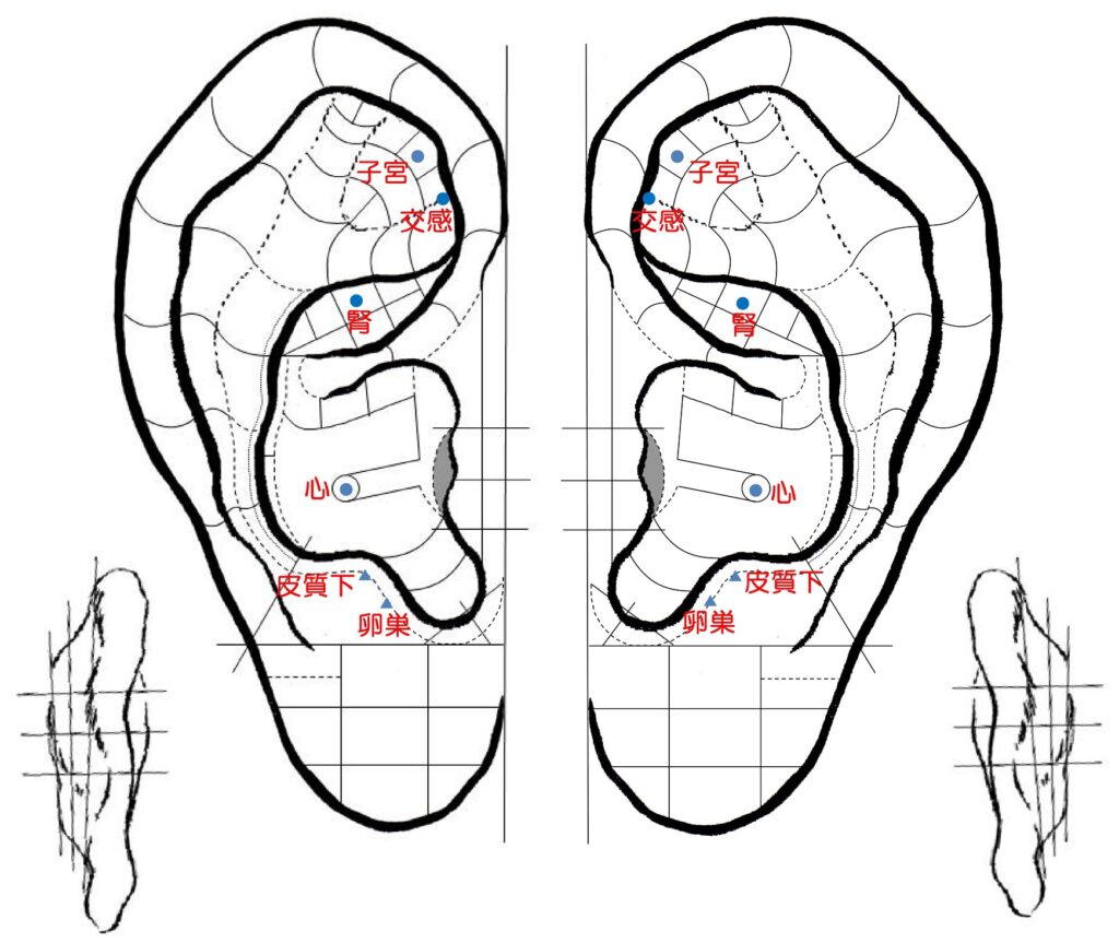 自律神経の調整