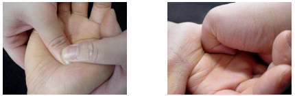 ピボッティング