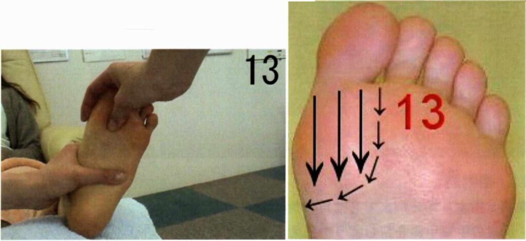 甲状腺・副甲状腺