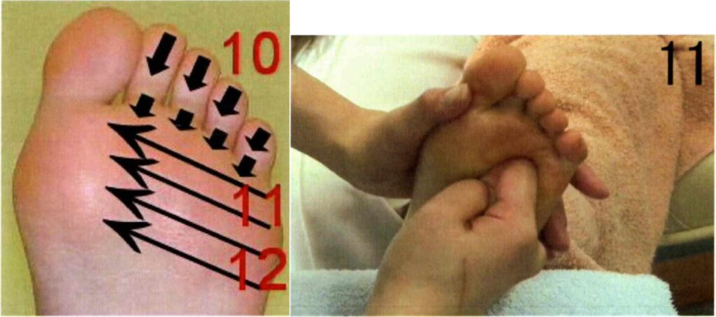 目・耳・僧帽筋