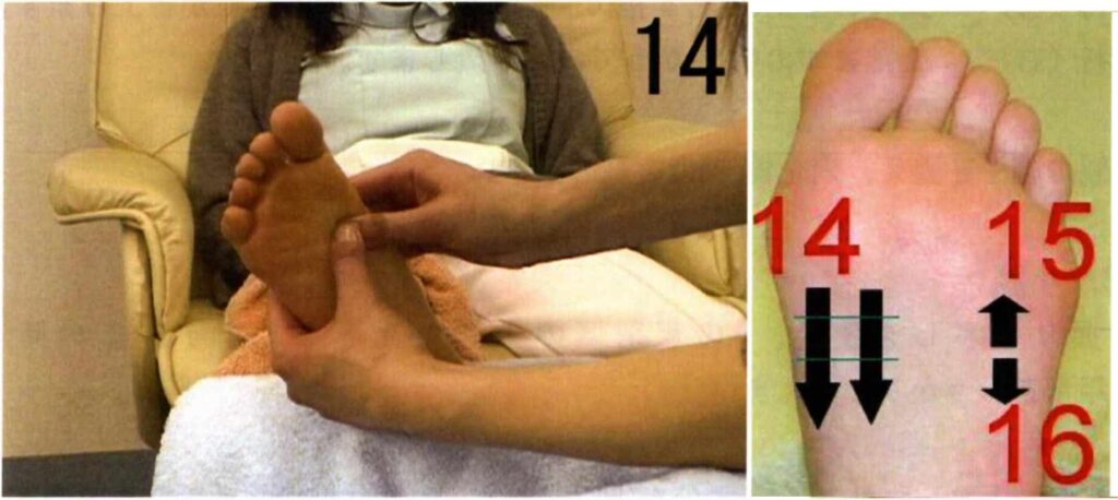 胃・膵臓・十二指腸