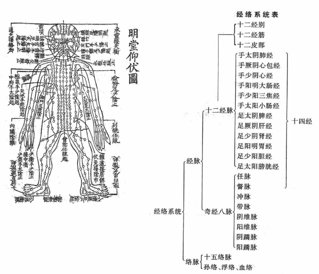 Ⅲ.経筋捏法 | higashi-nihon.com
